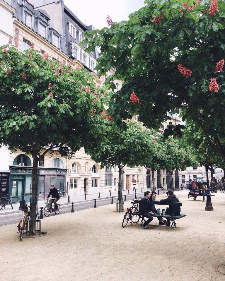 Эстетика летнего Парижа