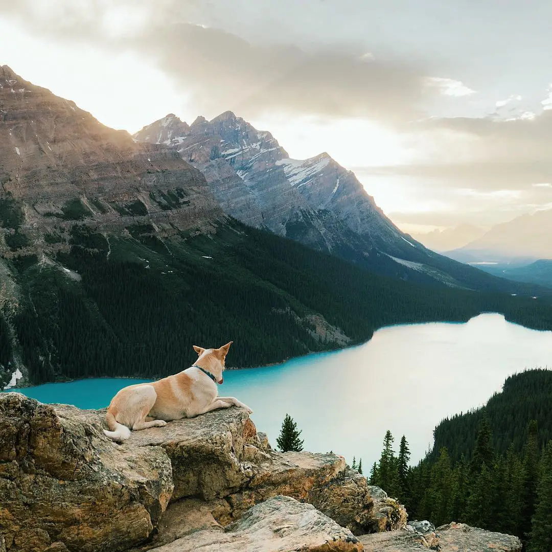 Alberta, Canada