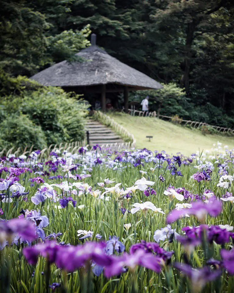 Japan