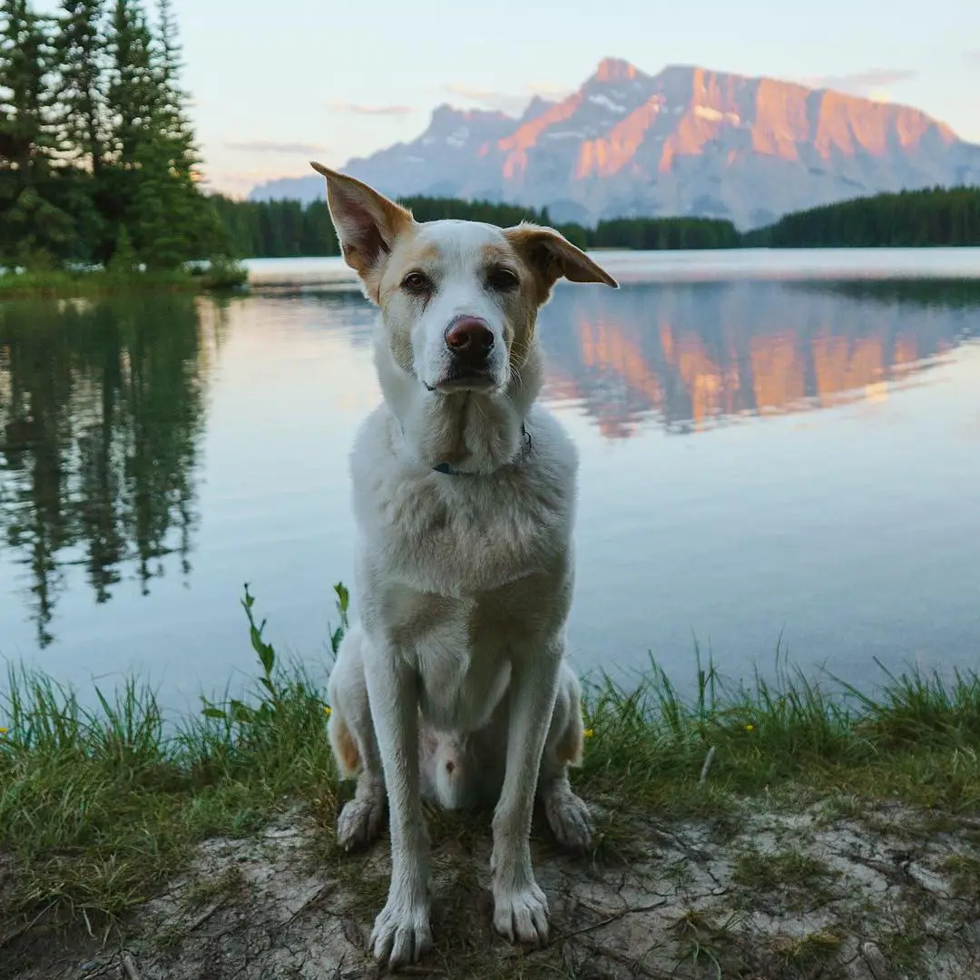 Alberta, Canada