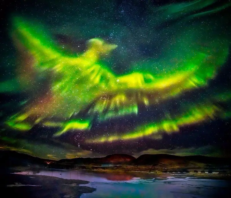 10 фотографий без фотошопа, где реальность граничит с иллюзией