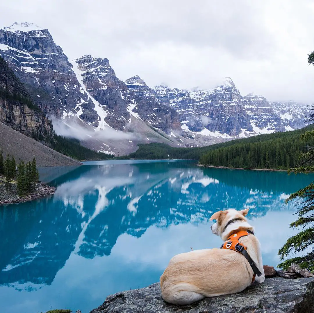 Alberta, Canada