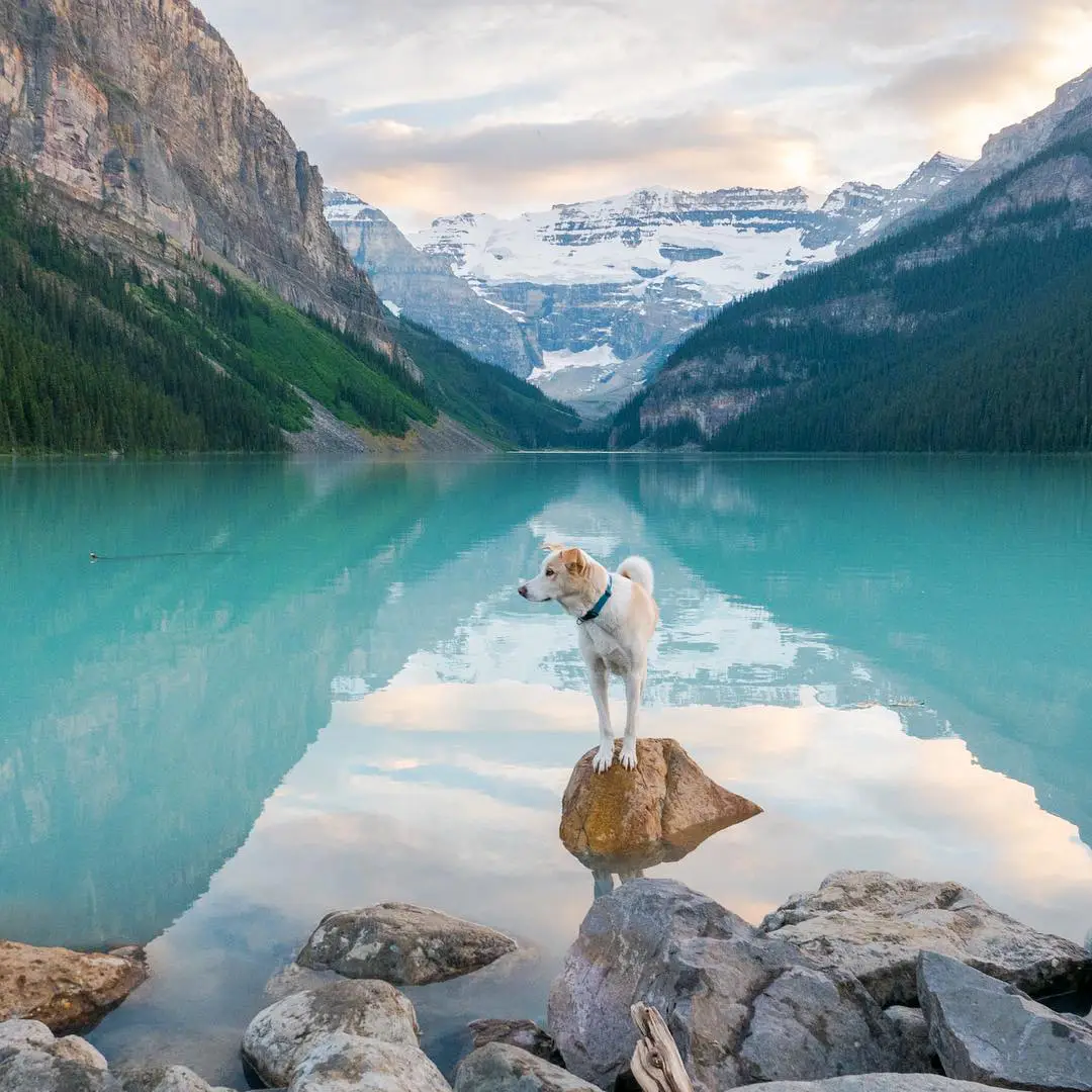 Alberta, Canada