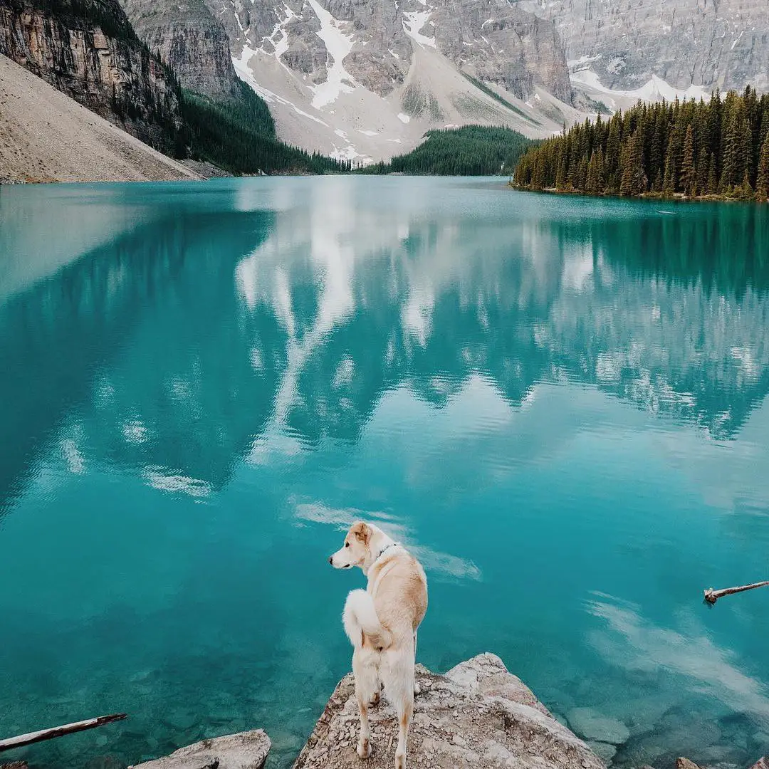 Alberta, Canada