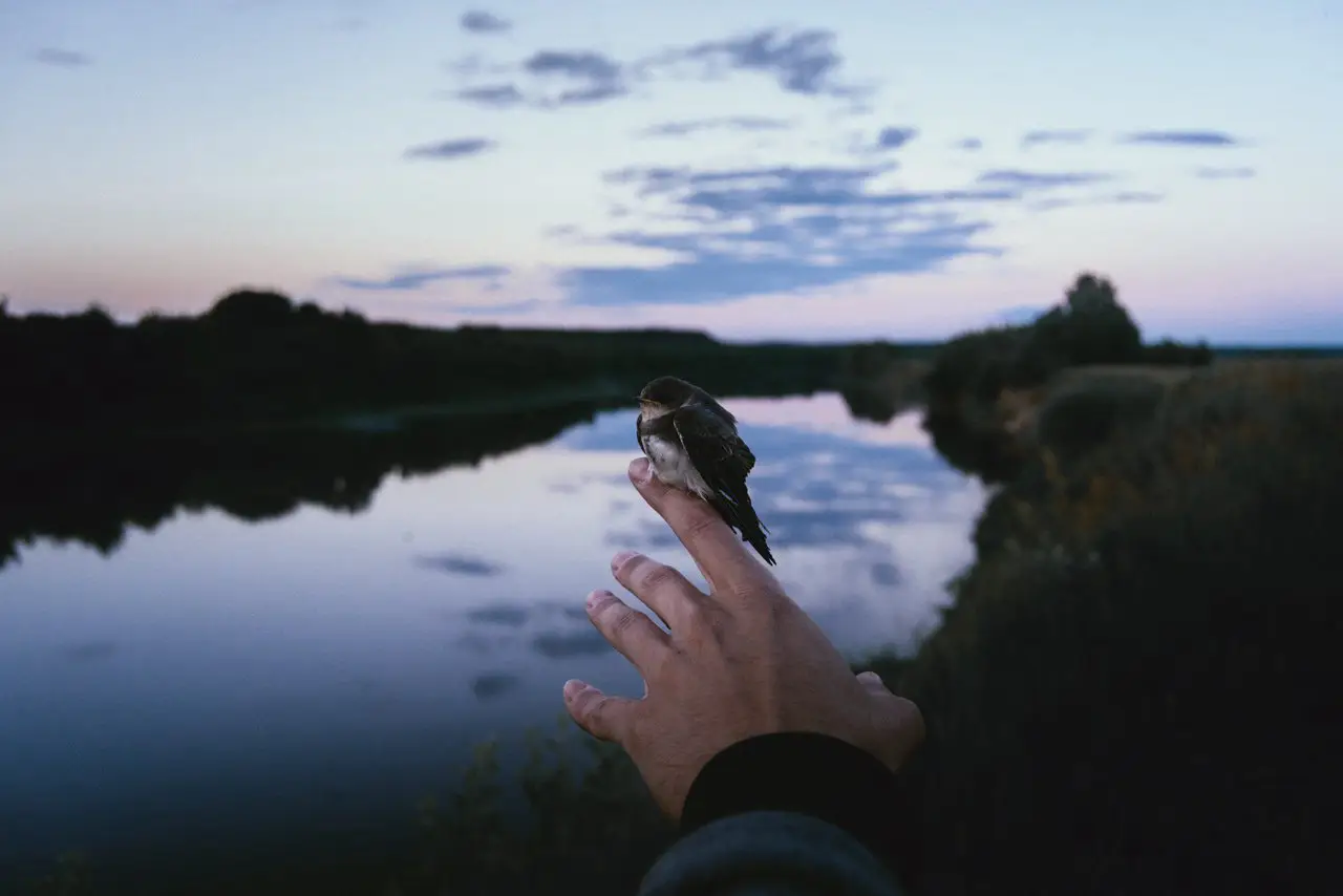 Річка Дніпро, Білорусь