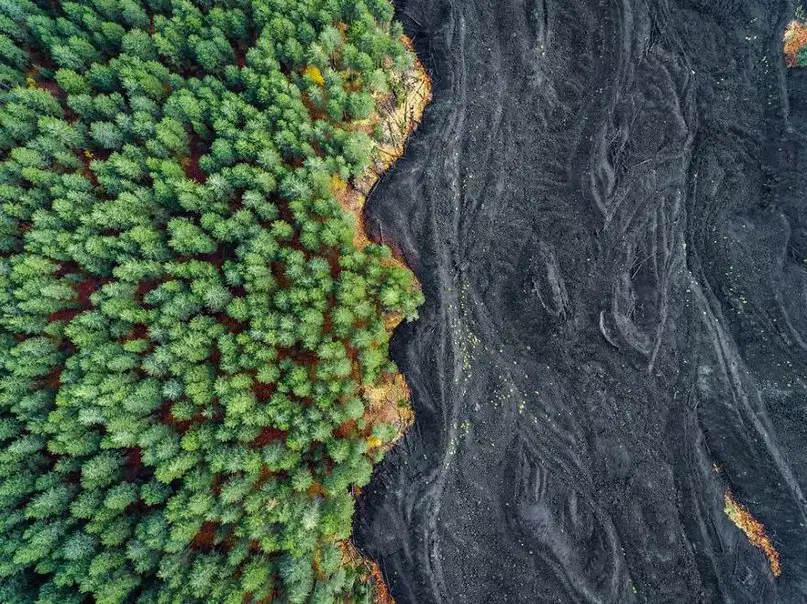 Ten of the best photos of nature in 2017 by National Geographic