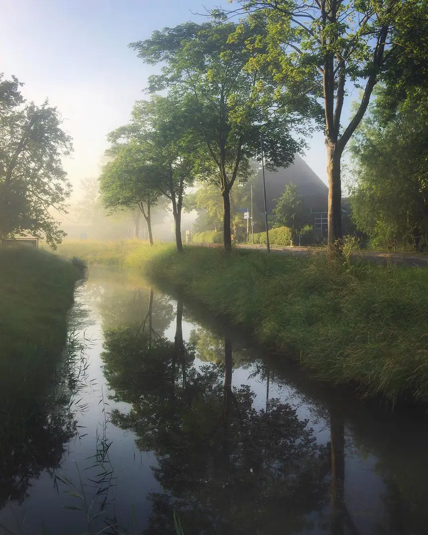 North Hollandvlinderlin