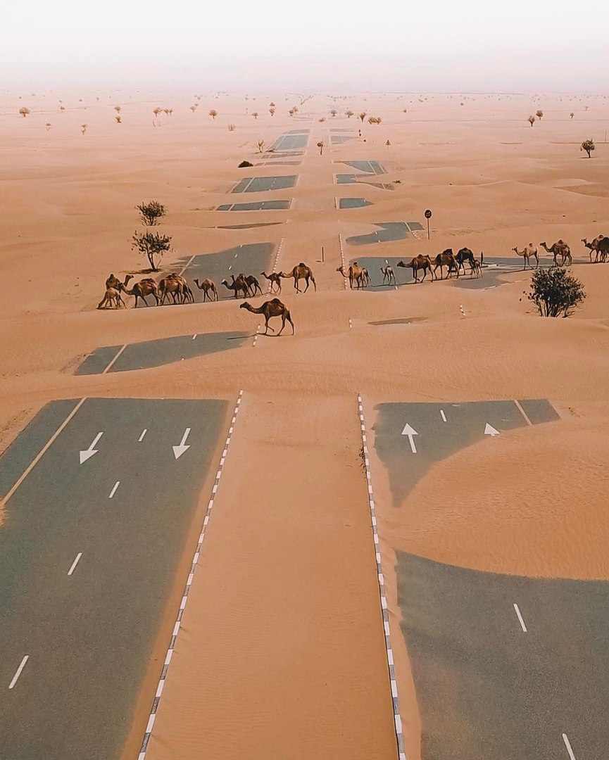 Дороги в Дубае после песчаной бури