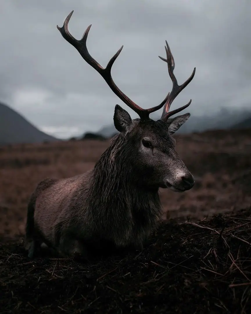 It's time to put your reality aside and plunge into the magic of the gloomy Scotland.
