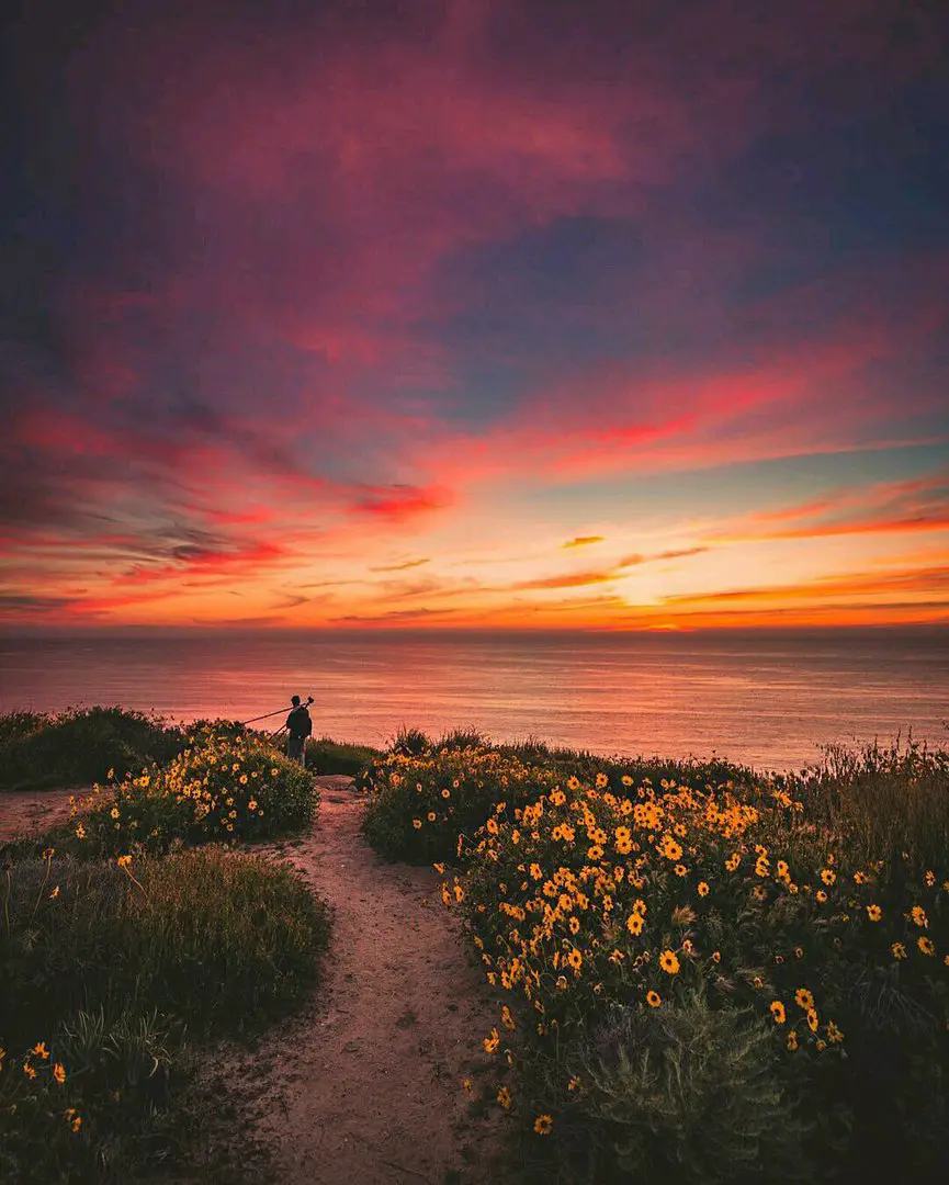 San Diego, United States of America