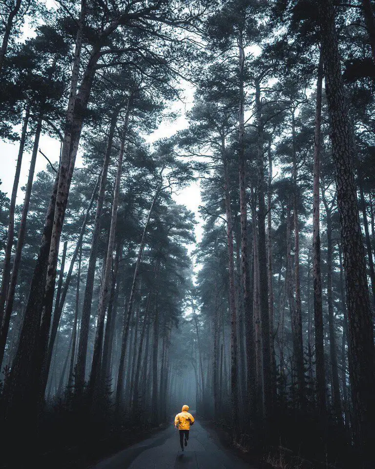 Красота финских пейзажей
