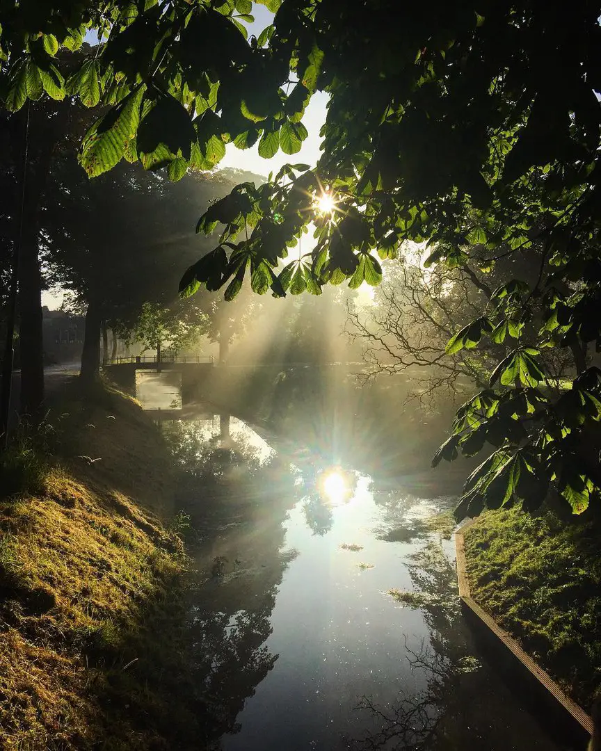 North Hollandvlinderlin