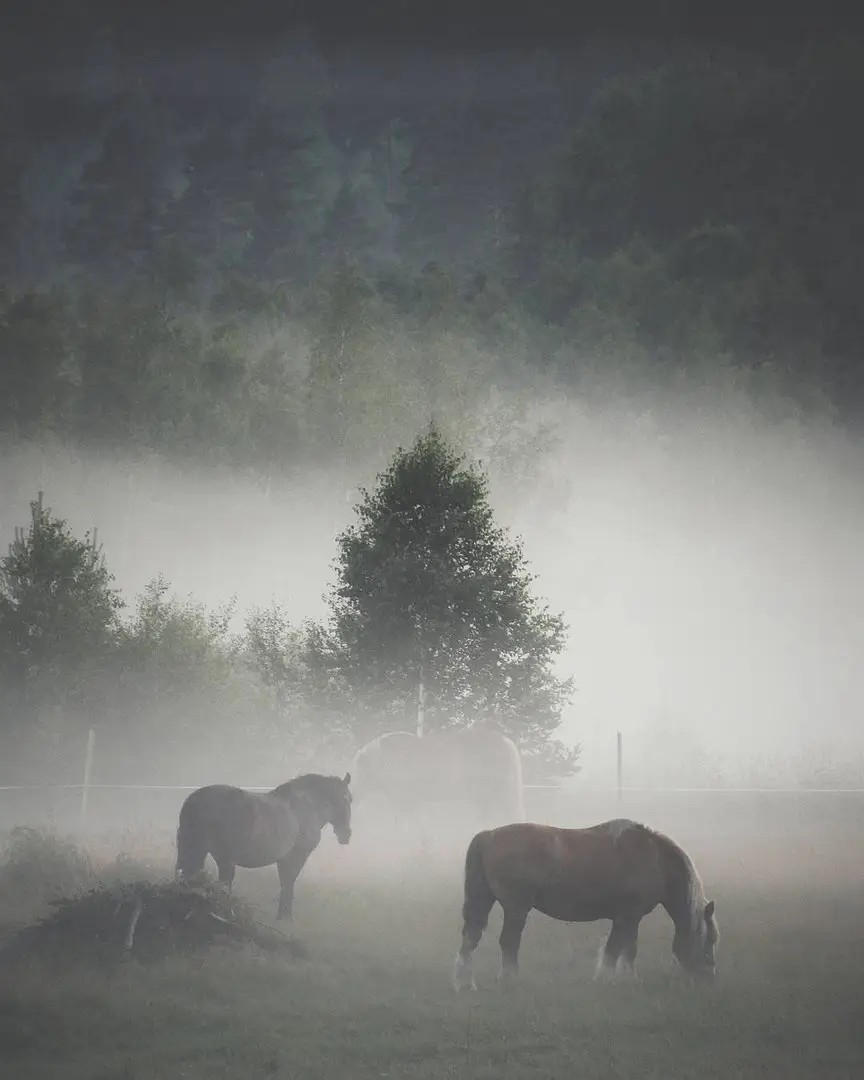 Falun, Sweden