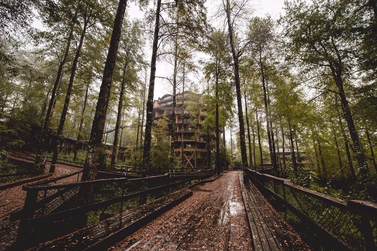 Необычный отель в лесу.