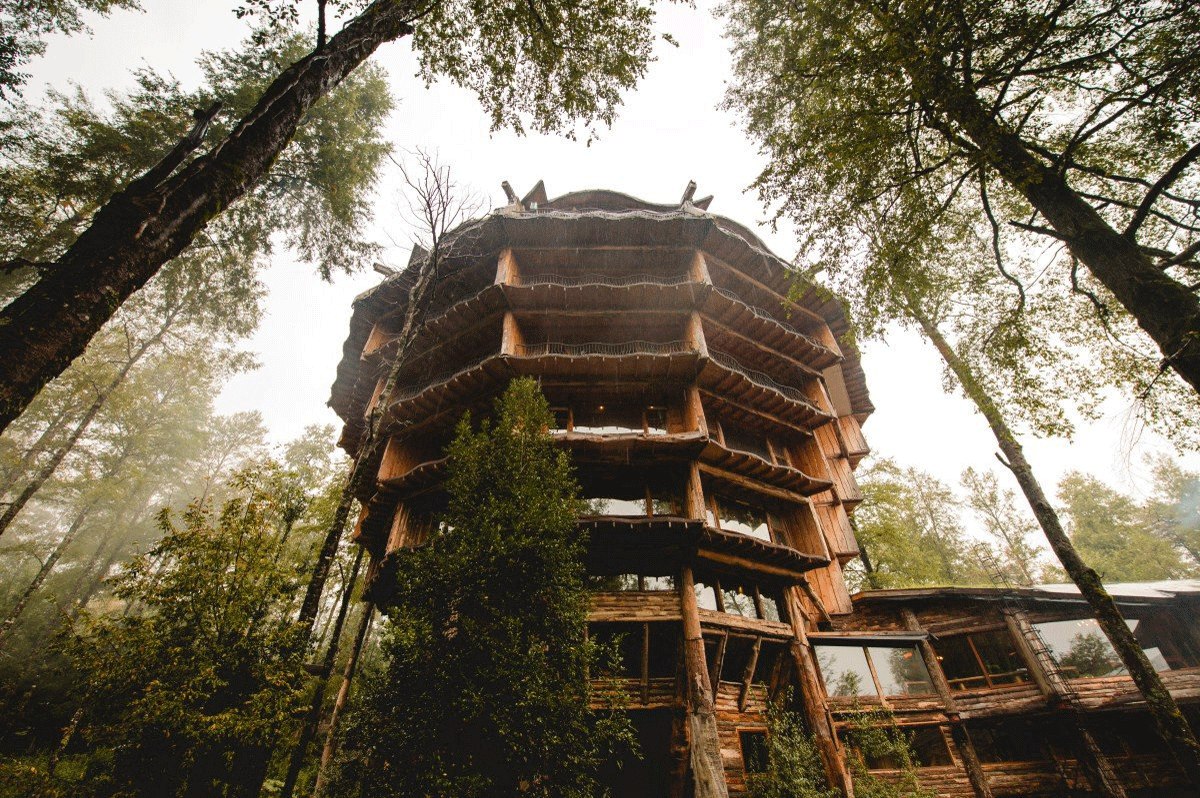 Unusual hotel in the forest.
