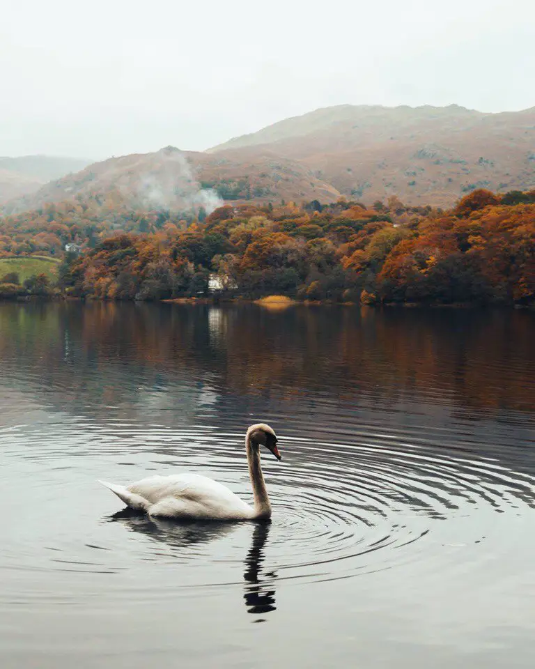United Kingdom