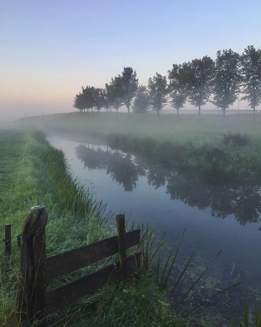 North Hollandvlinderlin
