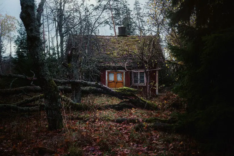 The aesthetics of abandoned houses.