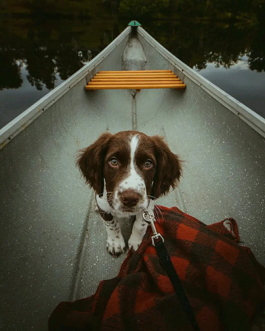 Northern Ontario