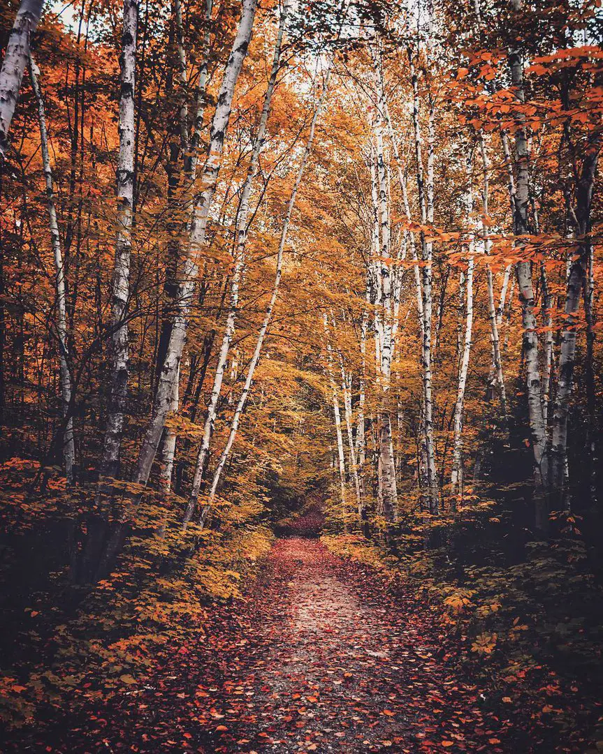 Ontario, Canada