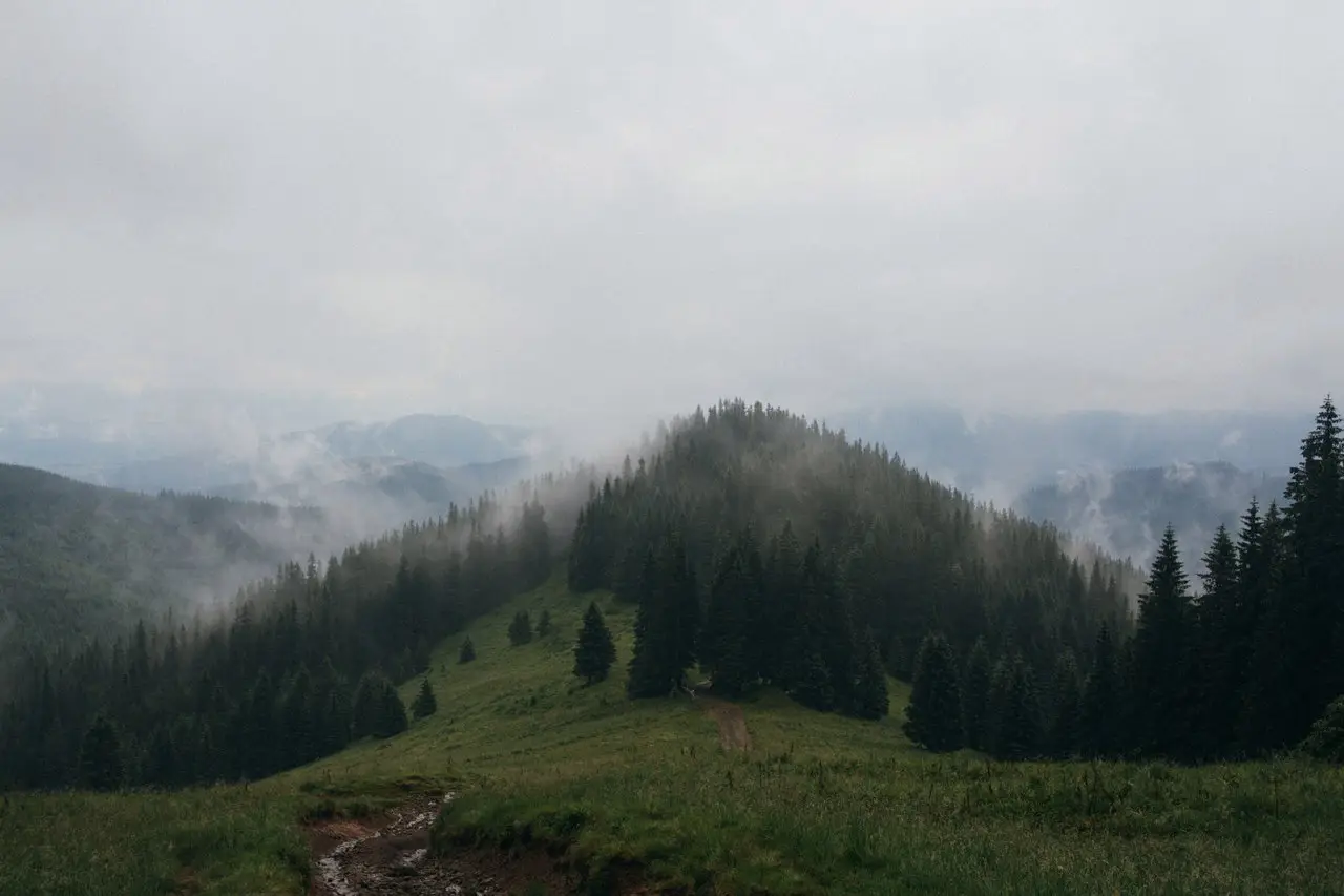 Подножие Петроса, пол. Головчеська, Украина