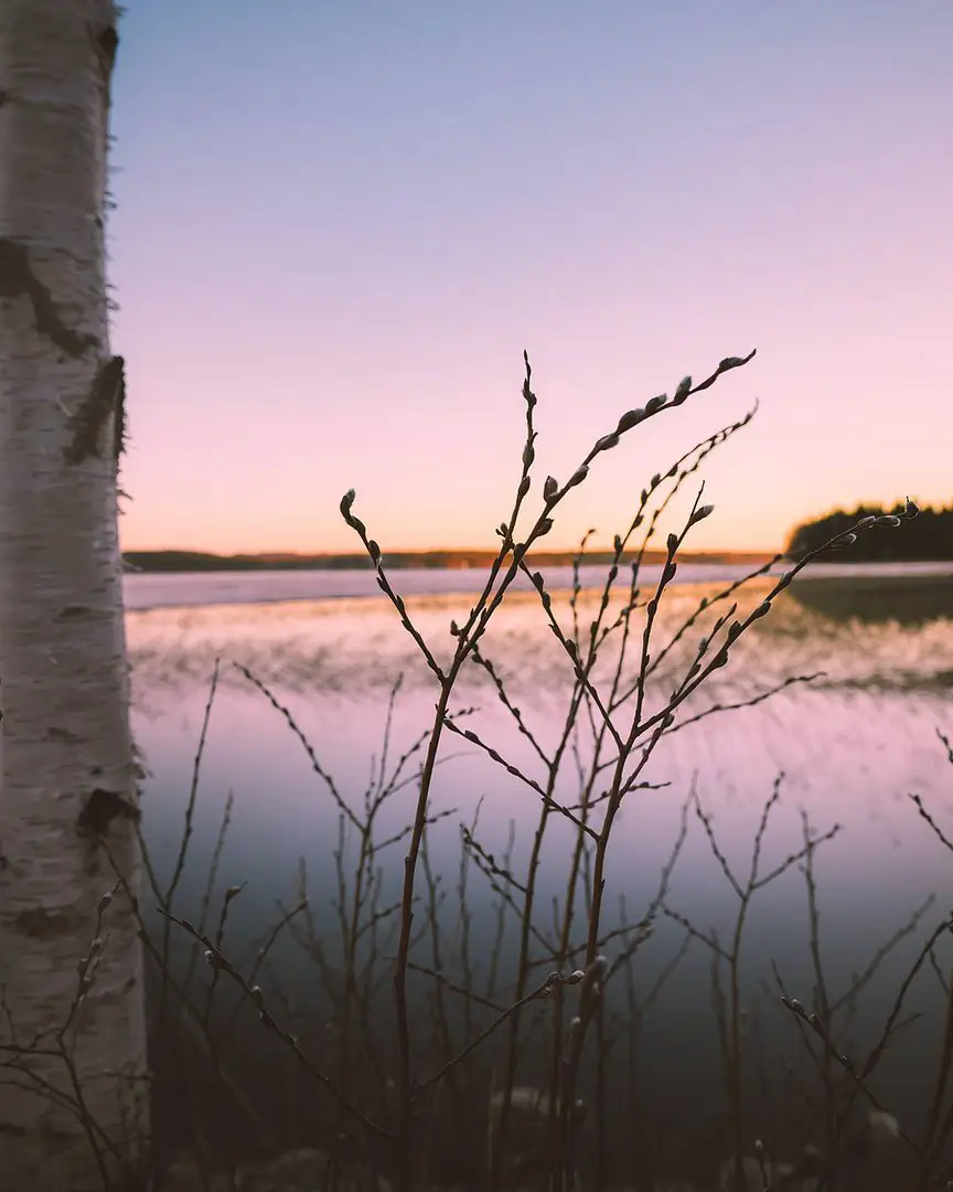 Finland
