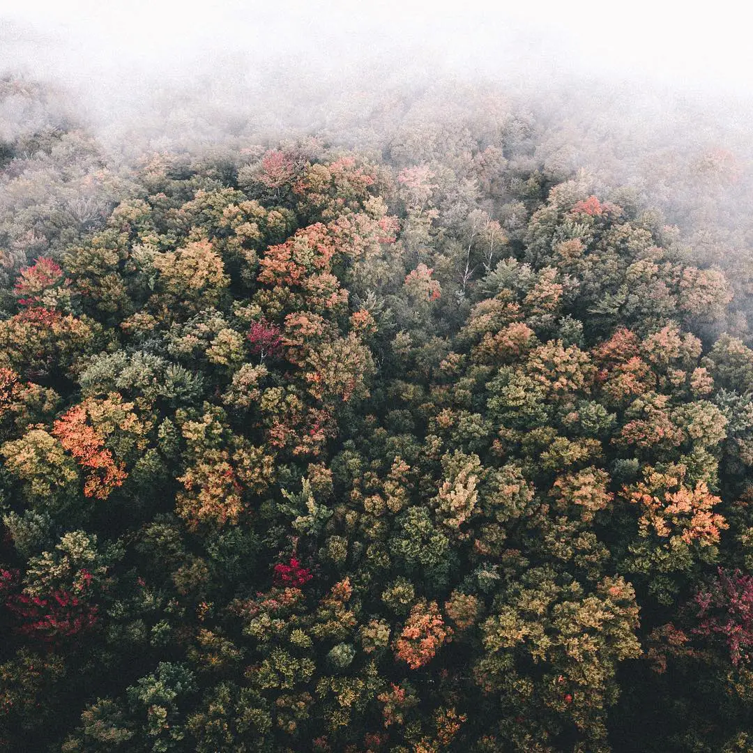 West Virginia