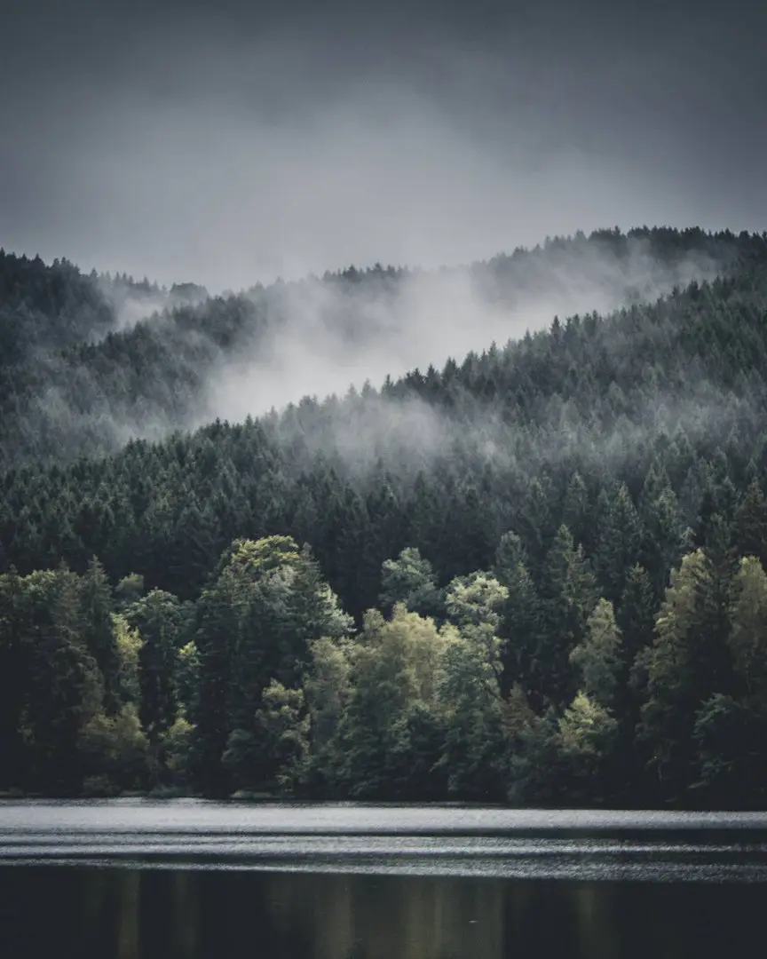 Harz Mountains, Germany