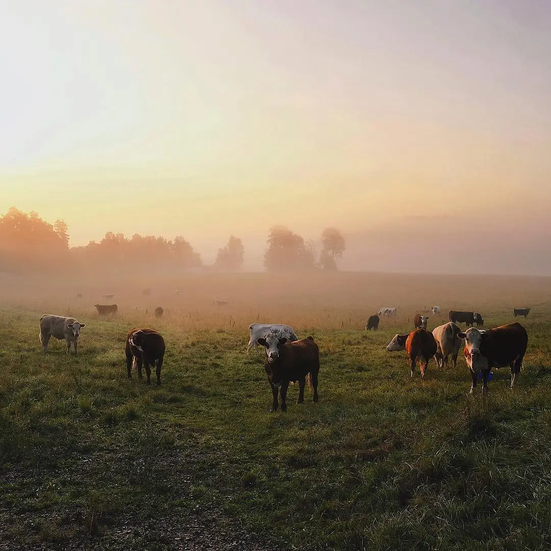 Oxelösund, Sweden