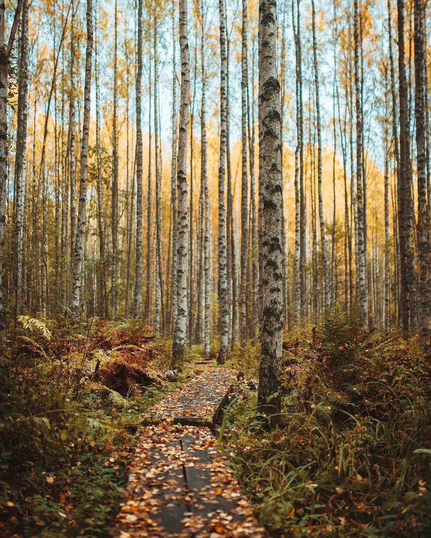 Finland
