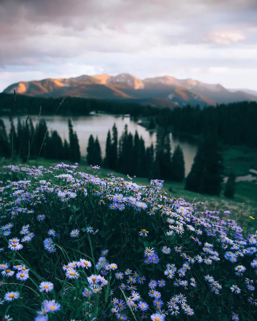 Oregon, USA