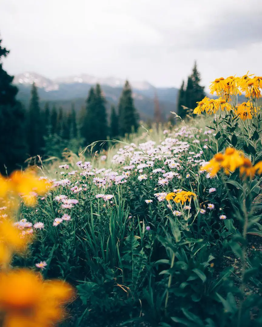 Oregon, USA