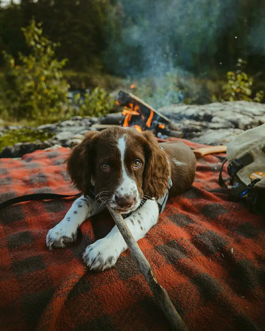 Northern Ontario