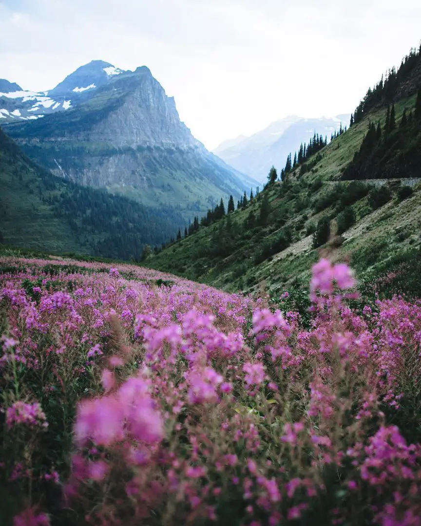 Oregon, USA