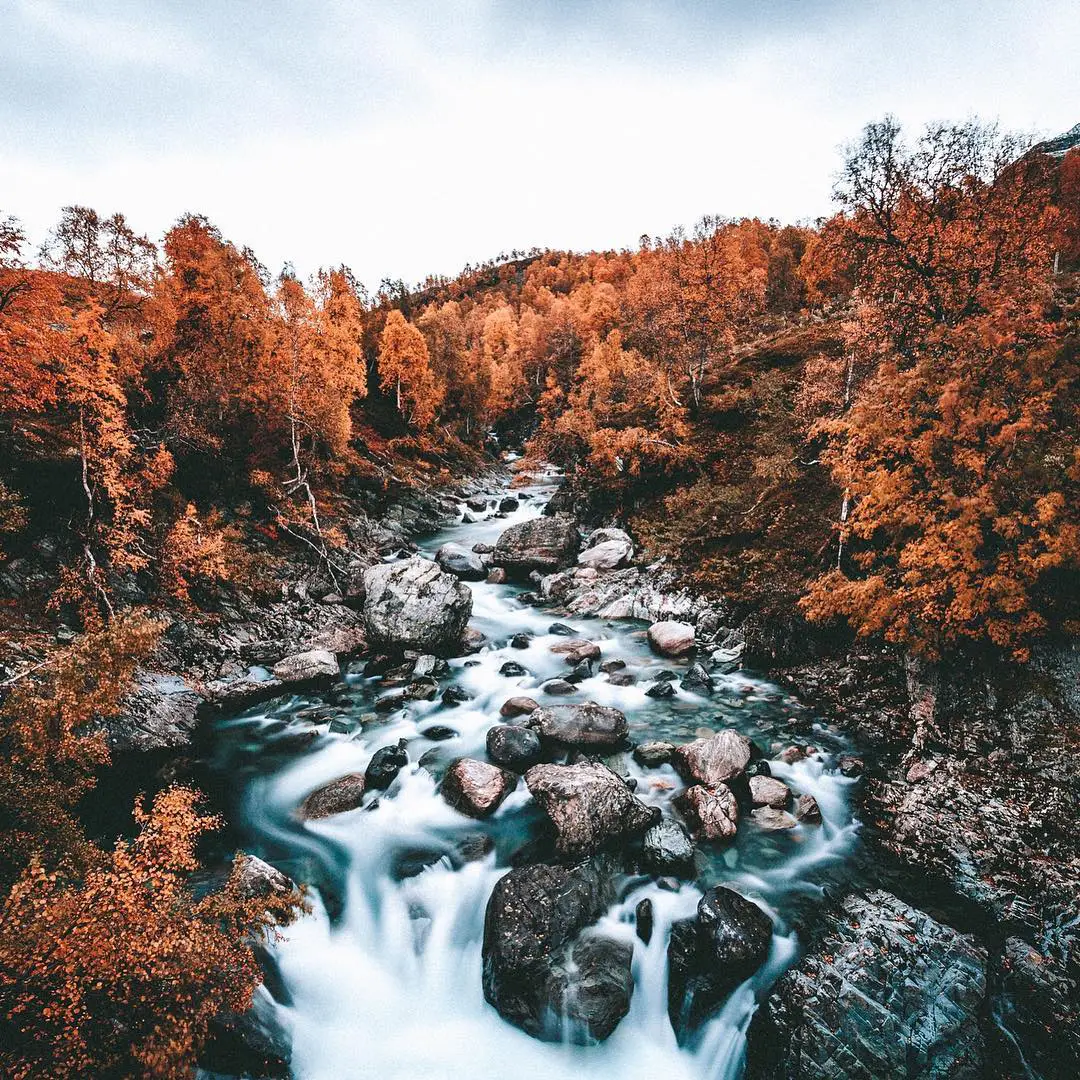 West Virginia