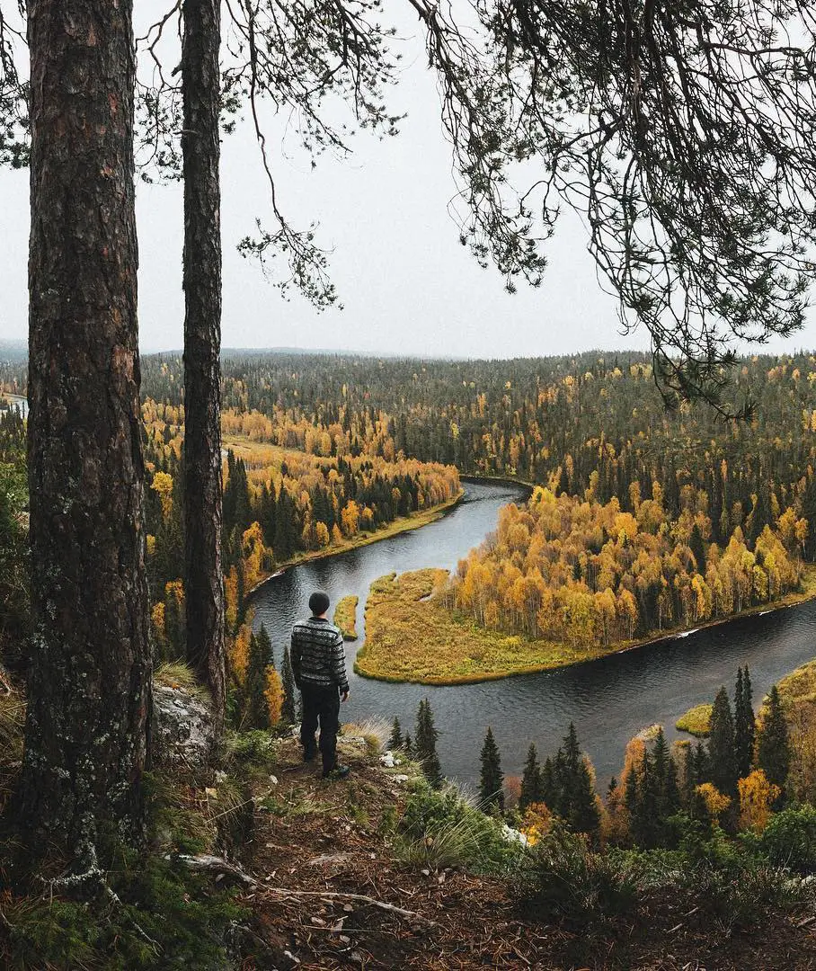 Finland and Sweden