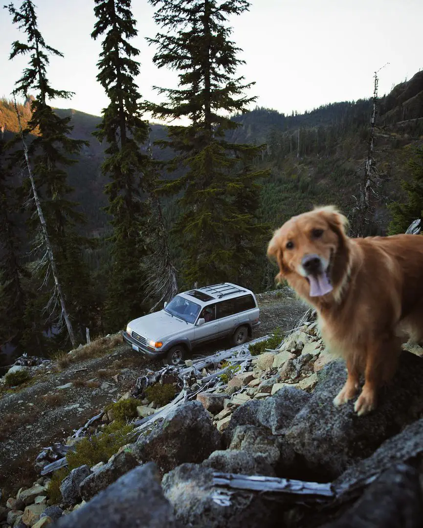 North Cascades National Park