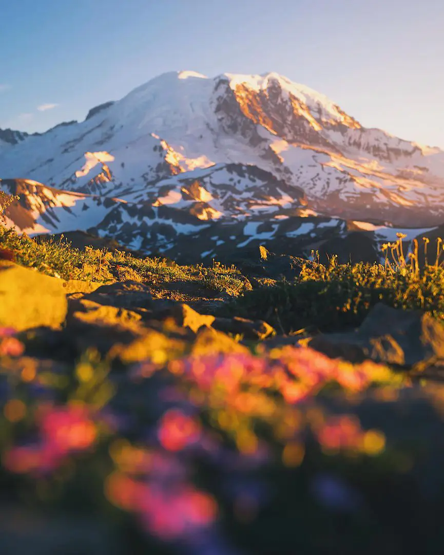 Washington, USA