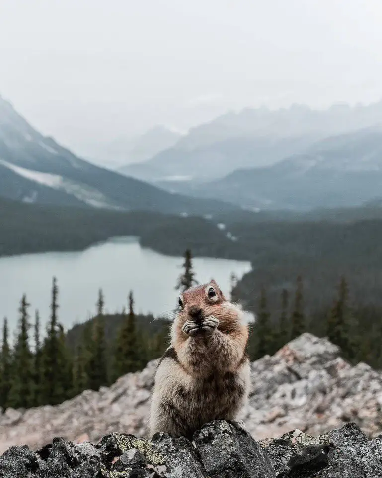 Canada