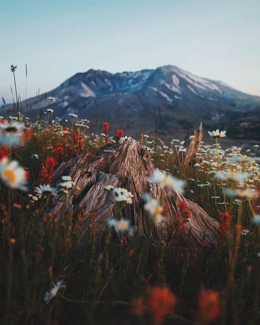 Washington, USA