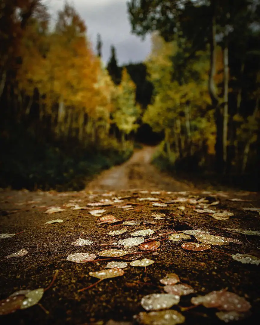 Colorado