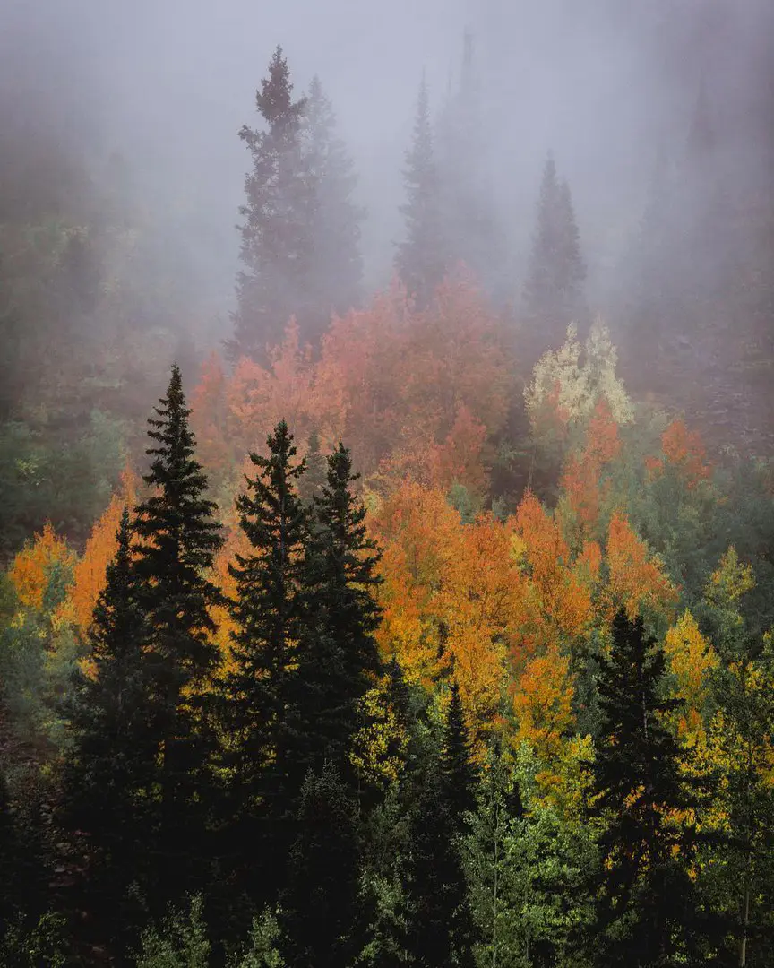 Colorado