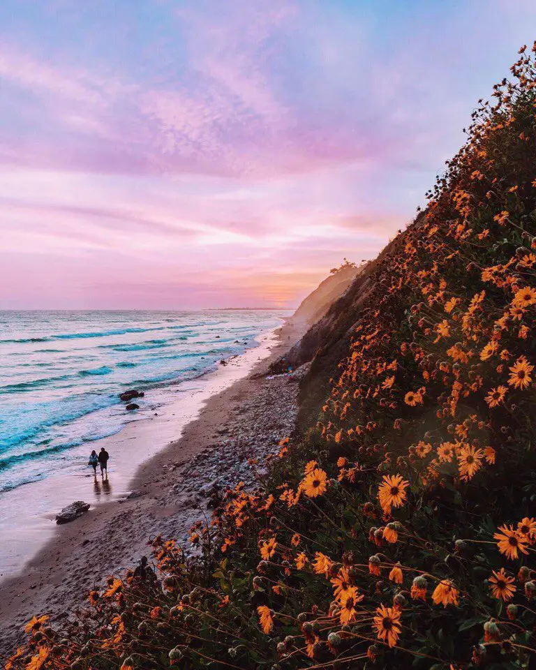 California