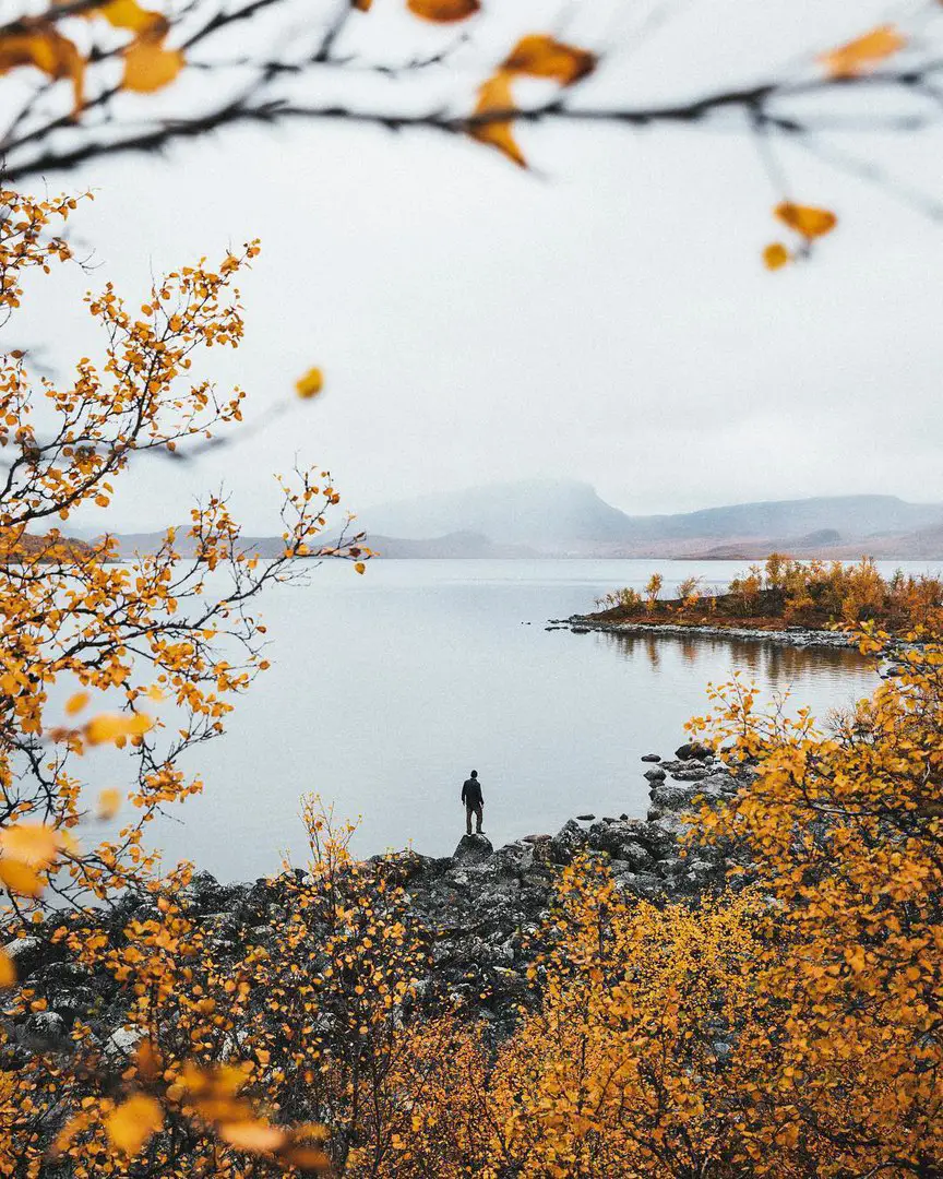Finland and Sweden