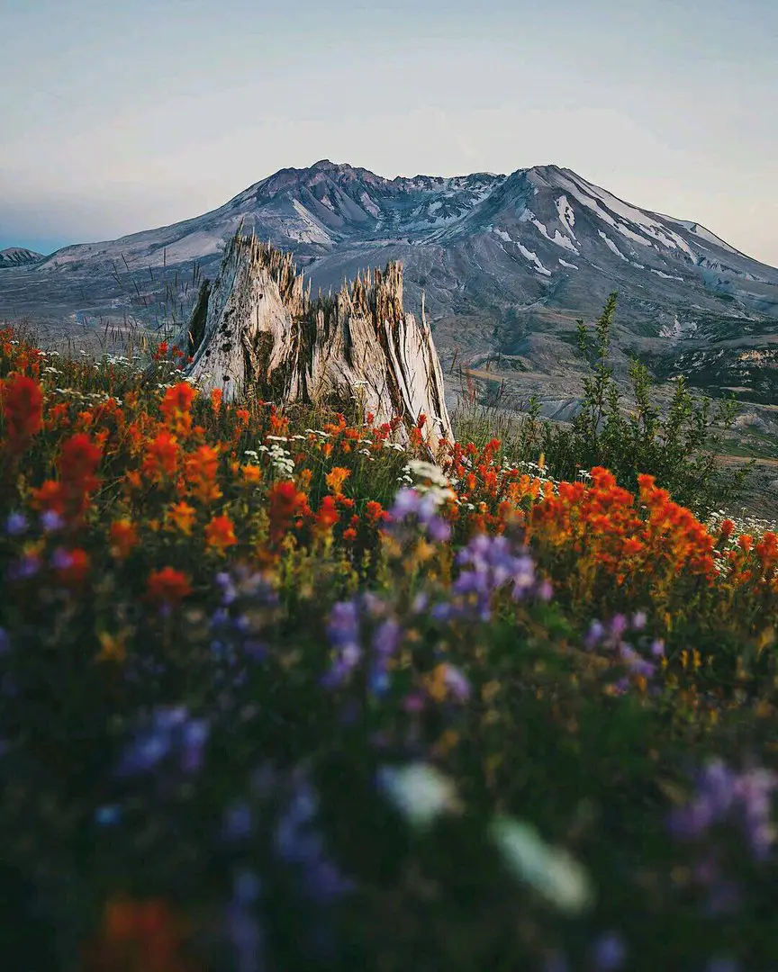 Washington, USA