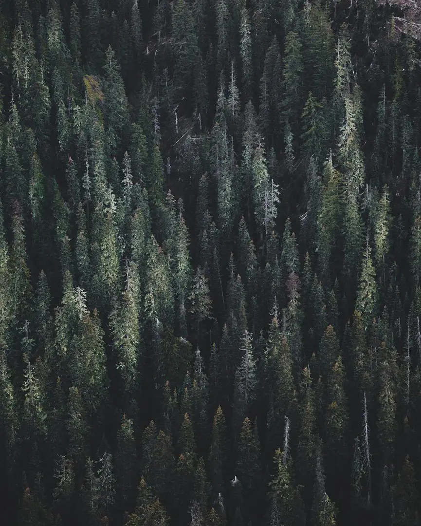 North Cascades National Park