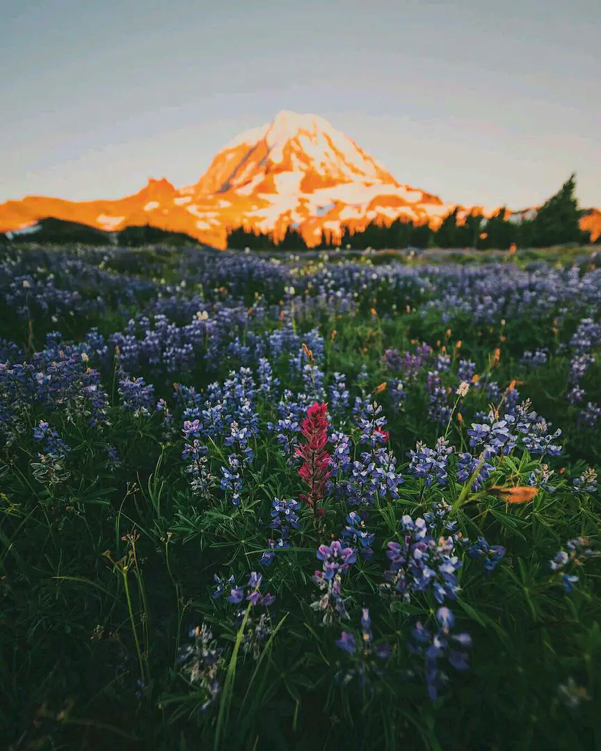 Washington, USA