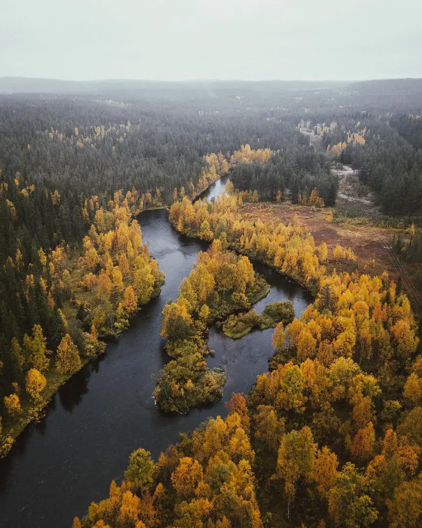 Finland and Sweden