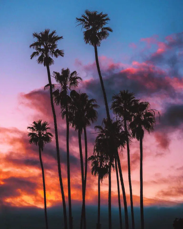 California