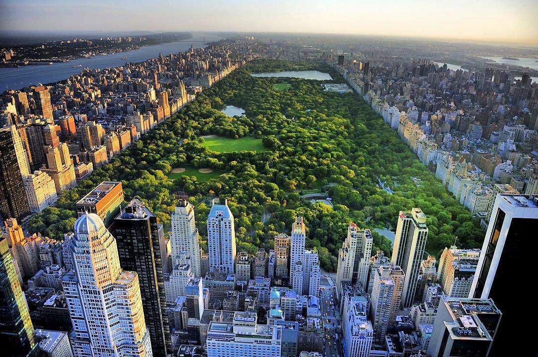 Central Park in New York